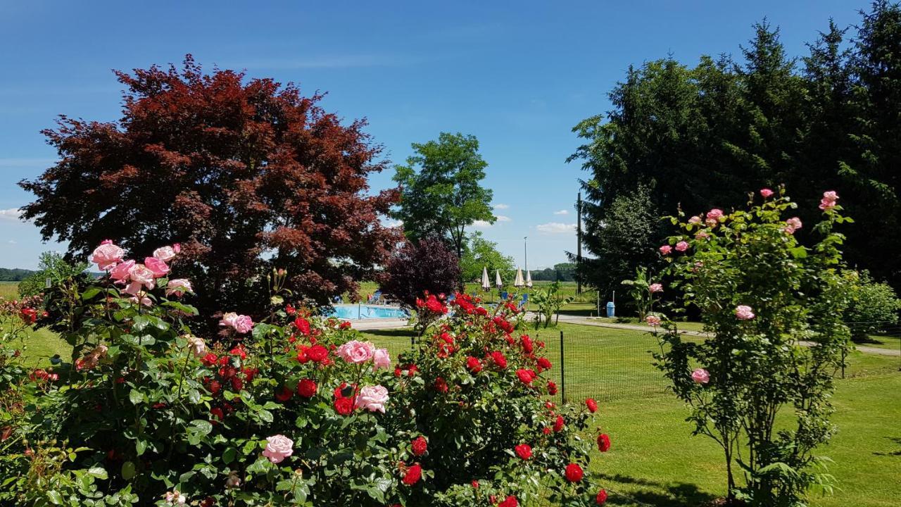Gasthof Zum Lindenhof Bad Radkersburg Zewnętrze zdjęcie